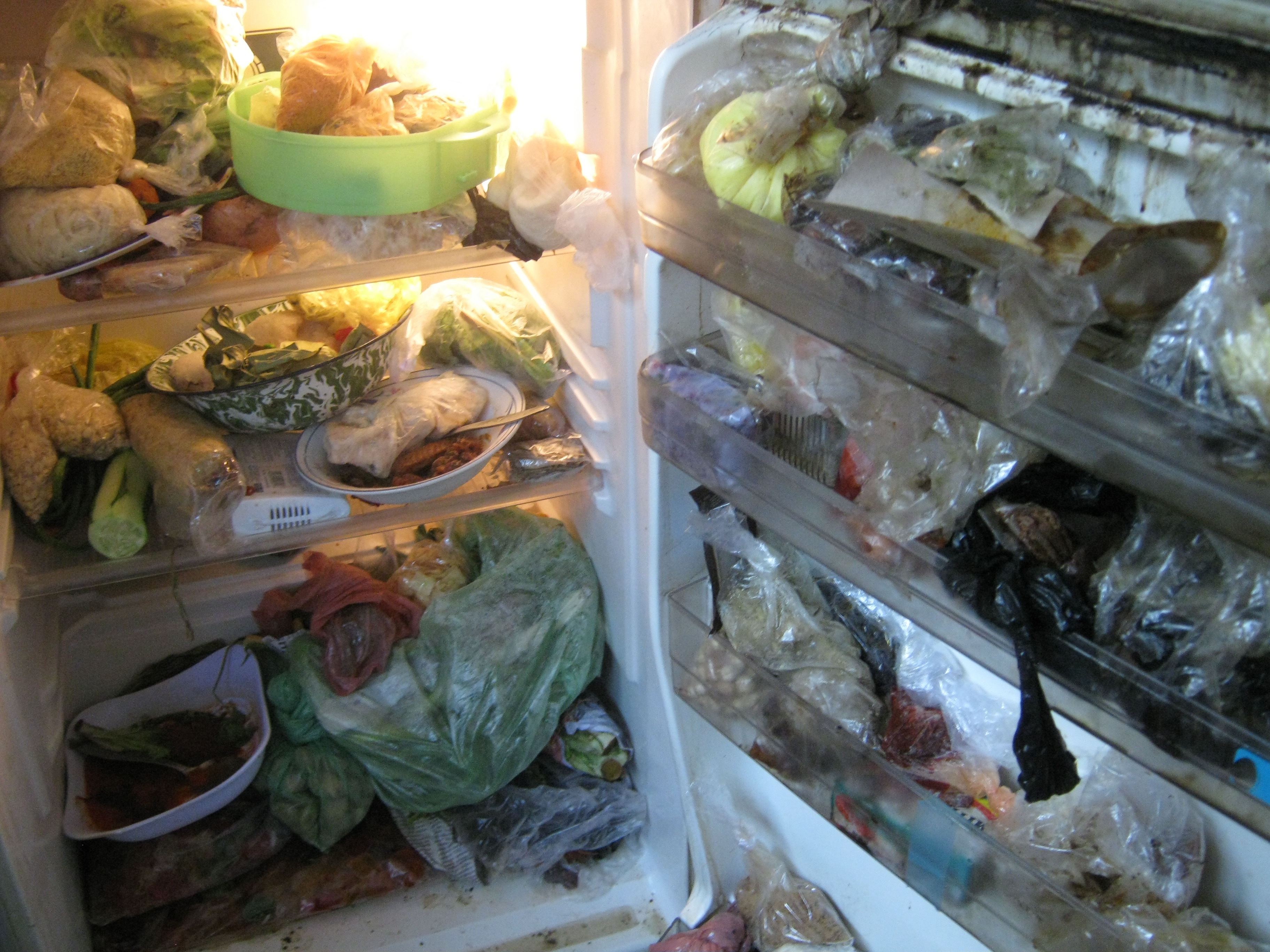 the fridge