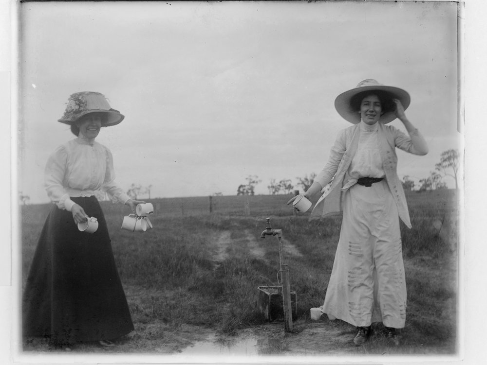 picnic scenes 1