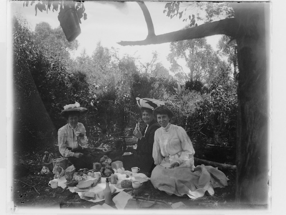 picnic scenes 3